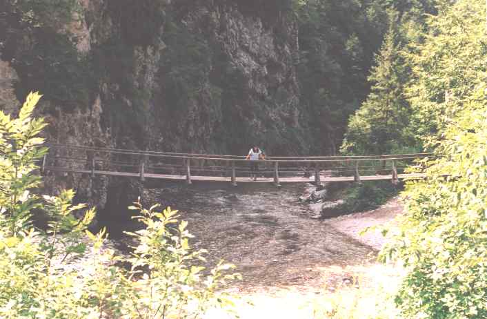 Luce Ponte in legno